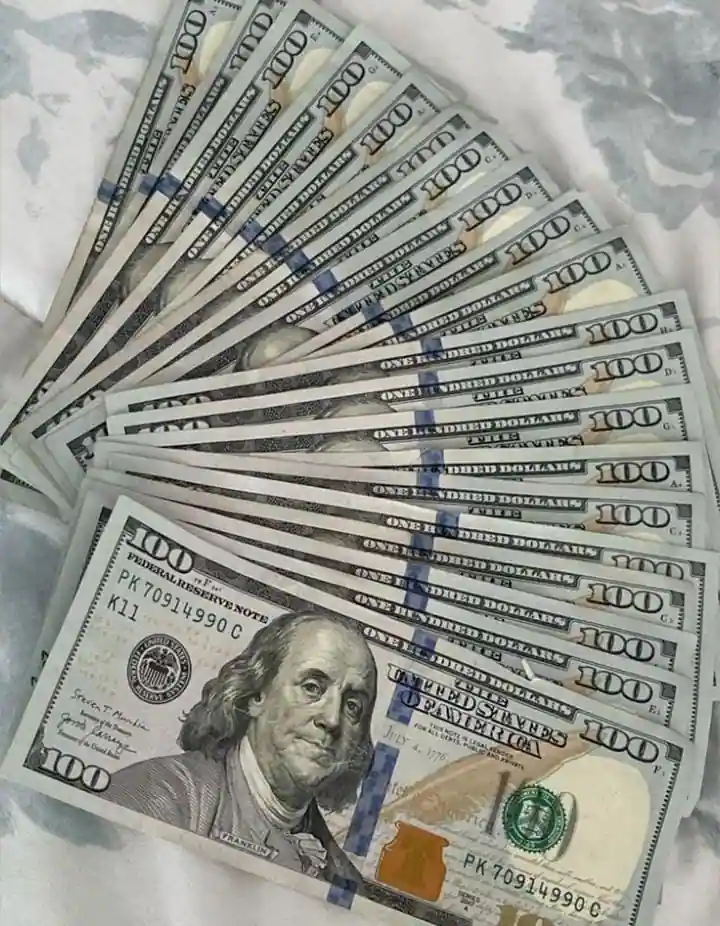 Ingresos en Dólares